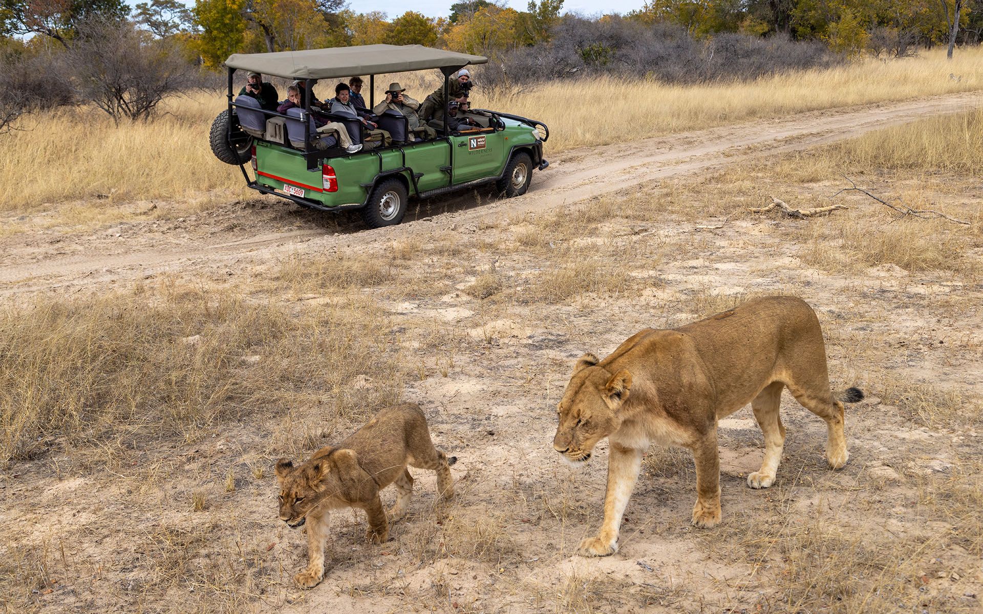 Территория Зубу (Zuu Area)